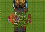 Round 5.jpg