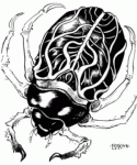 AGONY BEETLE.gif