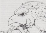 Aarakocra 1981 - Fiend Folio B.jpeg