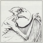 Aarakocra 1989 - Monstrous Compendium Vol. 2.jpeg