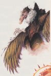 Aarakocra 1995 - Dark Sun Monstrous Compendium II.jpeg