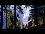 forest.jpg