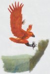 Aarakocra 2001 - Monsters of Faerûn.jpeg