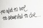tumblr_m4ujm75ZZ81qf3lleo1_1280.jpg
