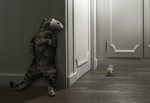 top-24-photo-manipulation-10.jpg
