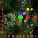 RidgeLive3.jpg