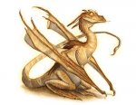 Pseudodragon.jpg