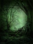 mystery_woods_background_03_by_frozenstocks-d4k5sow.jpg