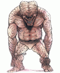 golebrai.gif