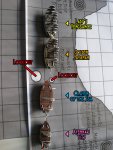 shipconga.JPG