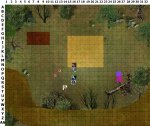 Forest Round 2.jpg
