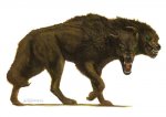death dog 001.jpg