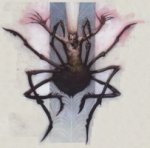 12. Drider Vampire 2002 - City of the Spider Queen.jpeg