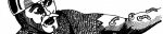 cropped-rot-grub22.jpg