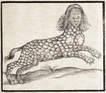 1. Lamia (1607) - The History of Four-Footed Beasts.jpg