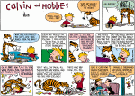 calvin.gif