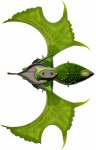 elven-warbird-spelljammer-deck-plan.jpg