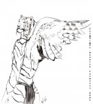 owltiger.jpg