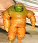 Carrot man.jpg