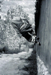 Jump wallrun Shoulin monk.png