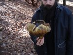 mushroom.JPG