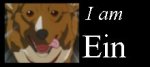 i am ein 02.jpg