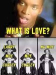 41037-what-is-love-larry-moe-curley-moe-curley-no-moe.jpg