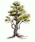 treant.gif