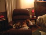 dscf0028.jpg