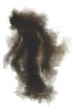 Shadow.jpg