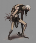Untitled.png