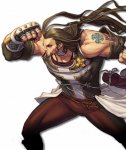Reinhardt Bravoss.jpg