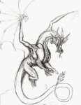 dragonseven.jpg