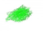 forest3.jpg