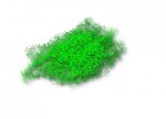forest4.jpg