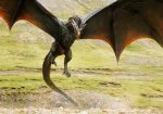 dragons.jpg