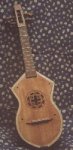 guitarra_latina_publicar.jpg