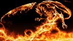 Fire.Dragon.full.420841.jpg