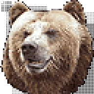 Rybaer