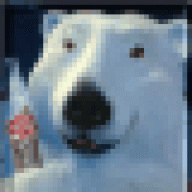 IceBear