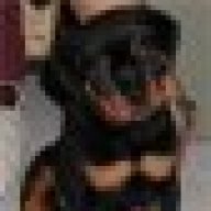 KayaKenobi