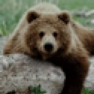 Dinubabear