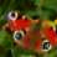 hagor