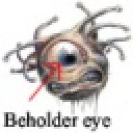 Beholdereye