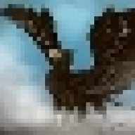 Gryphon3e