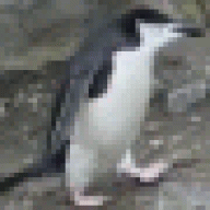 Peyre