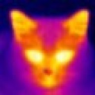 TheCat