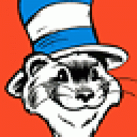 Ferret