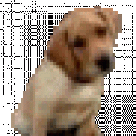 Guilt Puppy