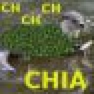 CHIA Pet